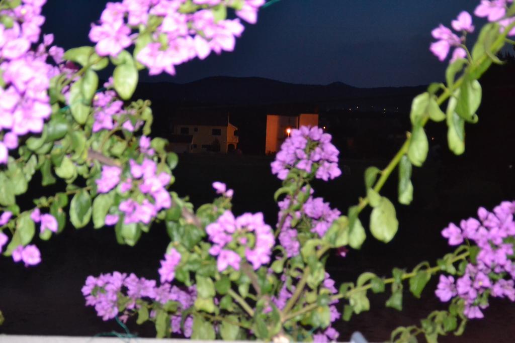 Apartment Klara Biograd Na Moru Rom bilde